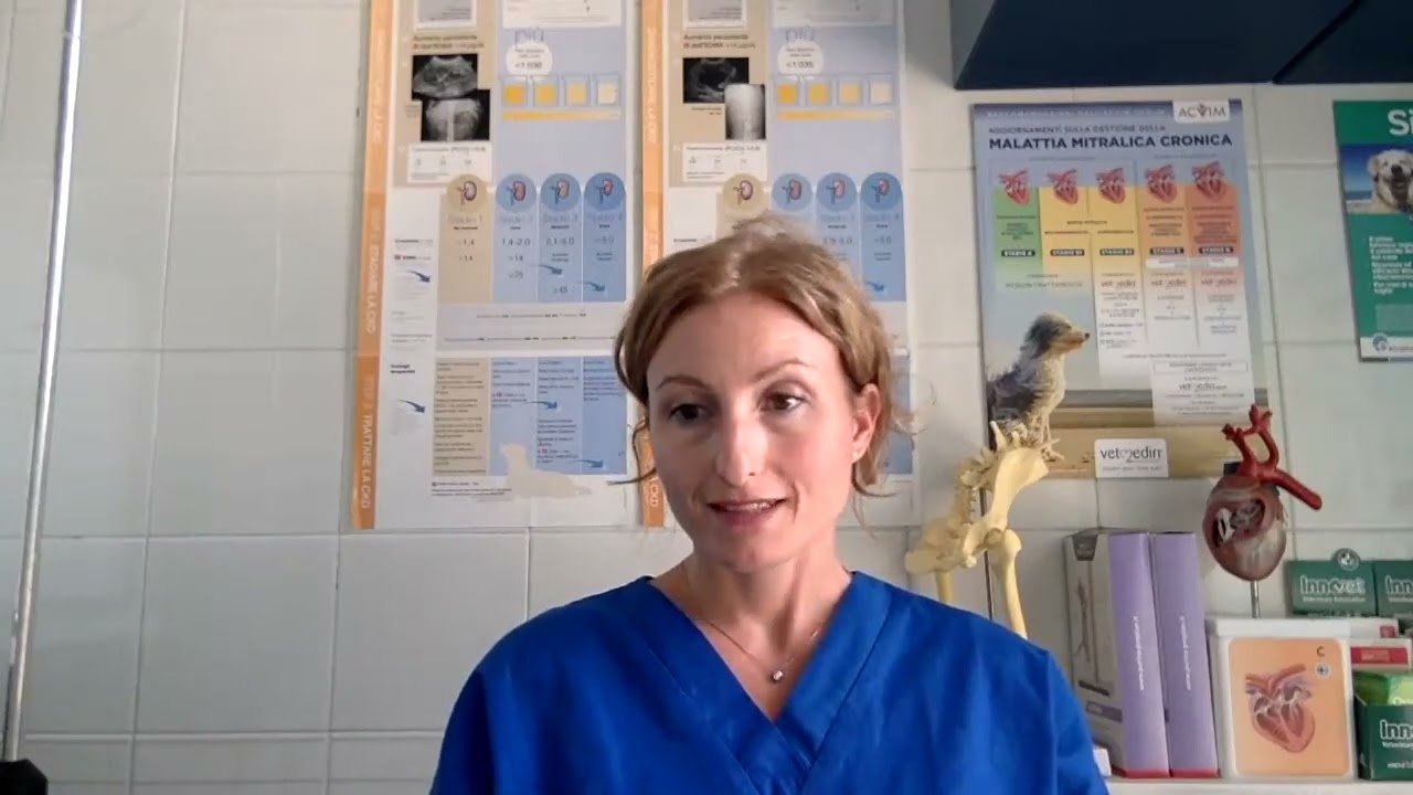 Viaggiare con il nostro amico a 4 zampe: parola alla veterinaria
