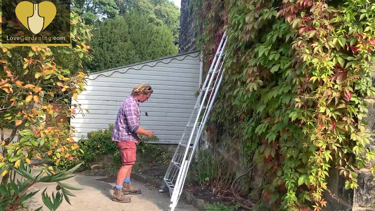 Chris Myers Introduces The Best Tripod Ladders For The Garden