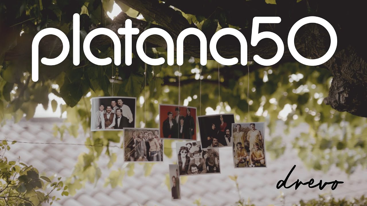 Platana - Drevo