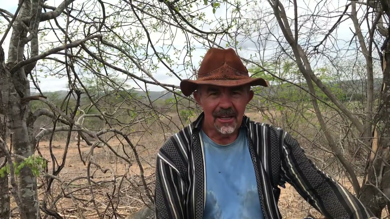 Um pouco sobre nossa história e realidade no nordeste, no Cariri paraibano 🌵