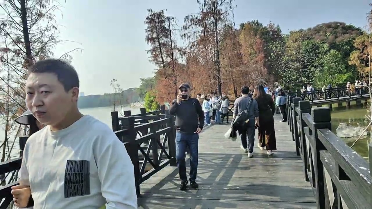 海珠湖冬季景色