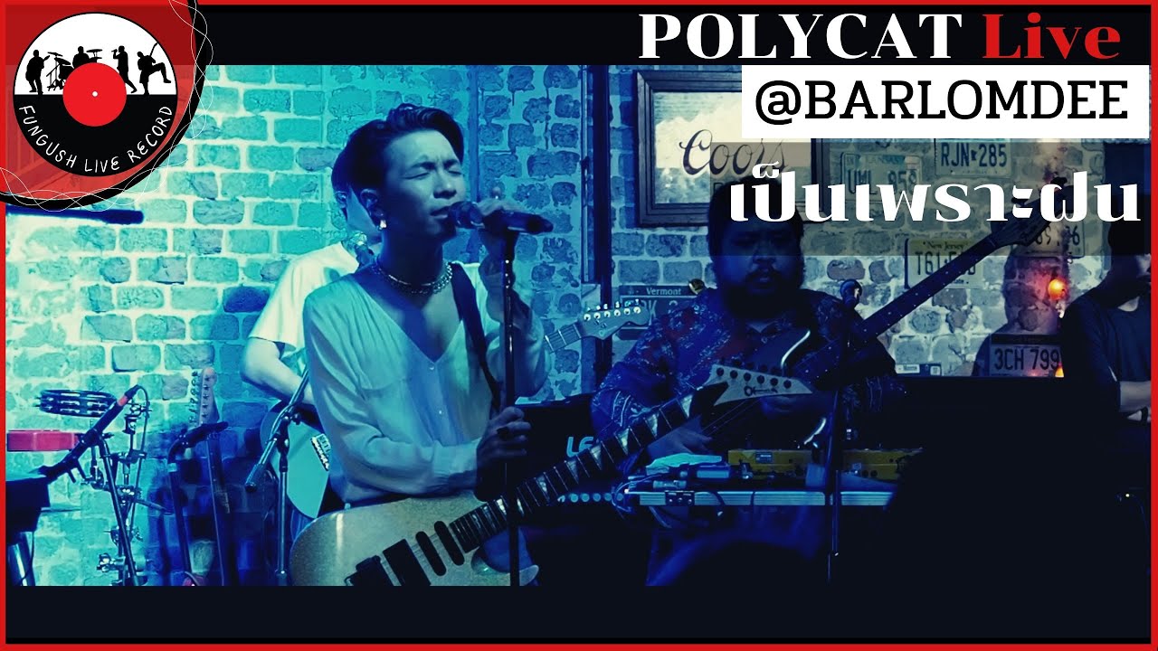 POLYCAT - เป็นเพราะฝน [ LIVE@BARLOMDEE ] #Fungush