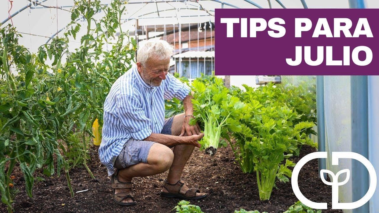 Este Julio: Descubre los Mejores Consejos de Jardinería que No Puedes Ignorar