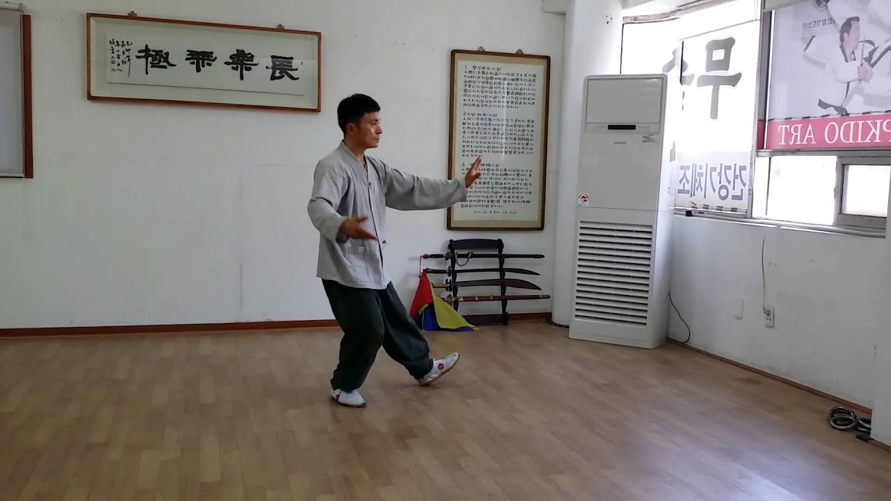 김지룡태극권-양가(양식)태극권 103식