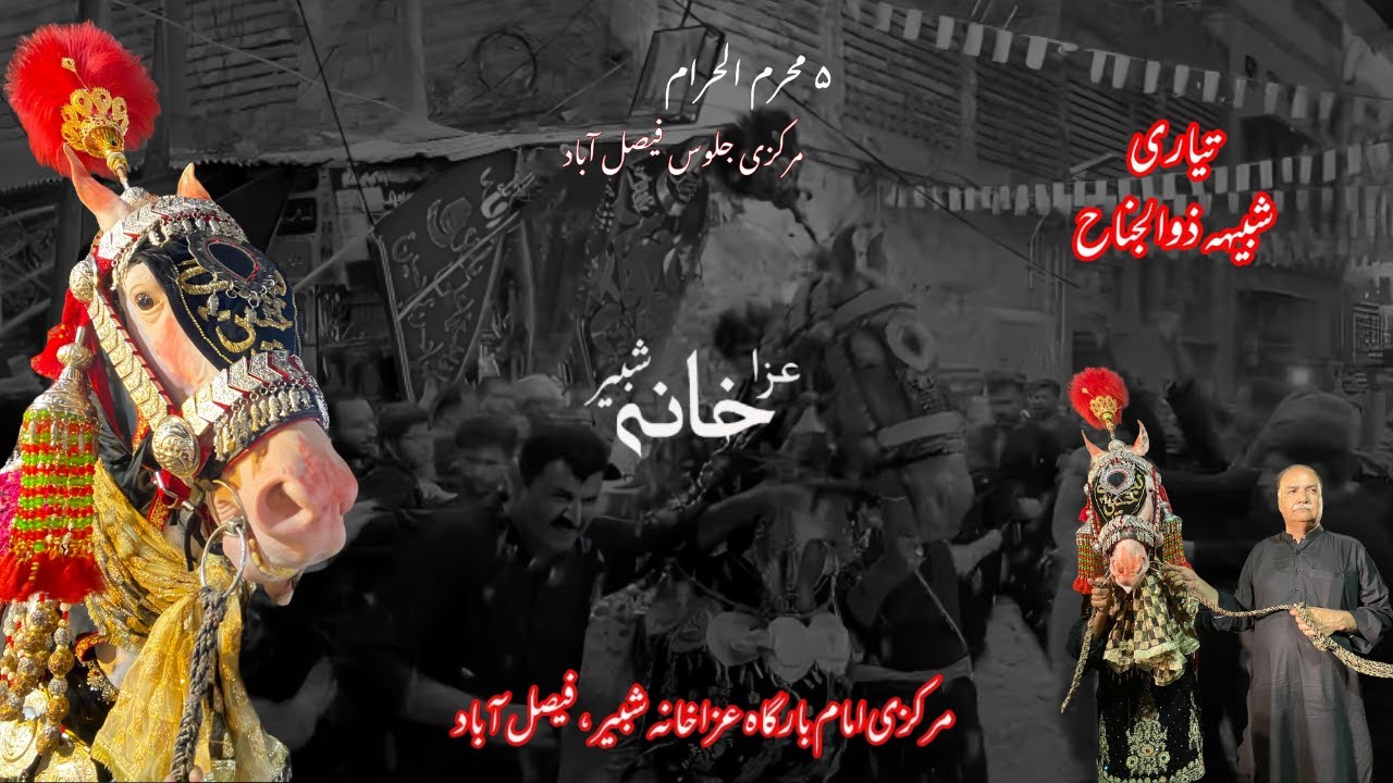 5 Muharram 2025 | Tiyari / Shabi_e_Zuljanah | Markazi Imam Bargha Aza Khana Shabir FSD #zuljanah