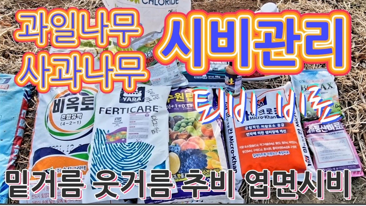 (제27화)사과나무 과일나무 시비관리/ 퇴비 비료 거름 주는시기/퇴비 비료 밑거름 웃거름 추비 엽면시비 주는량 알아보기
