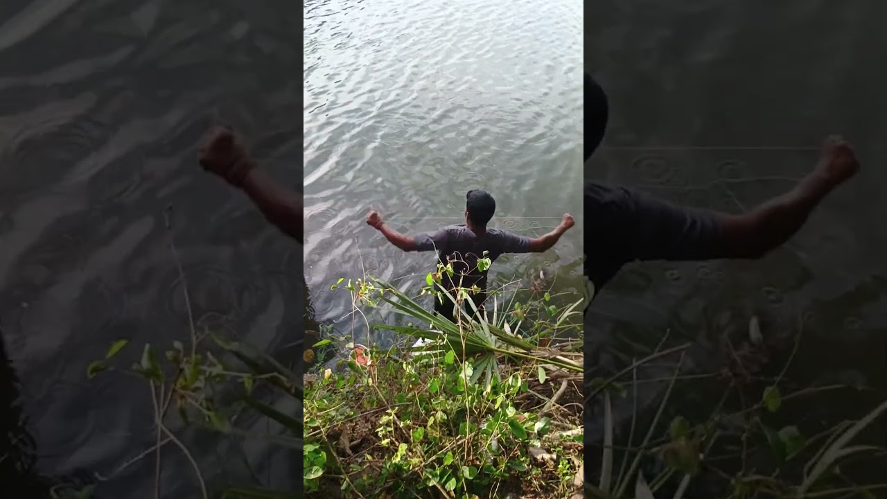 Monster Mullet Madness: Backwater Bottle Trap Fishing!