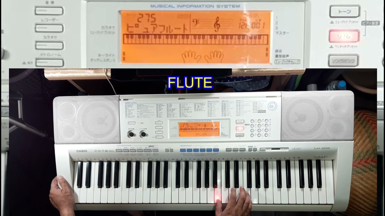 CASIO LK 205 (JAPAN)-Sounds and Styles (รีวิว Casio LK-205)