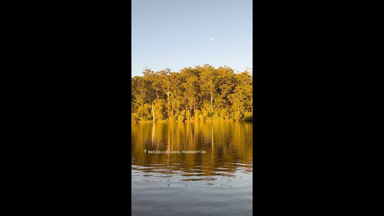 Explore Beedelup National Park – Lakes, Falls & Forests