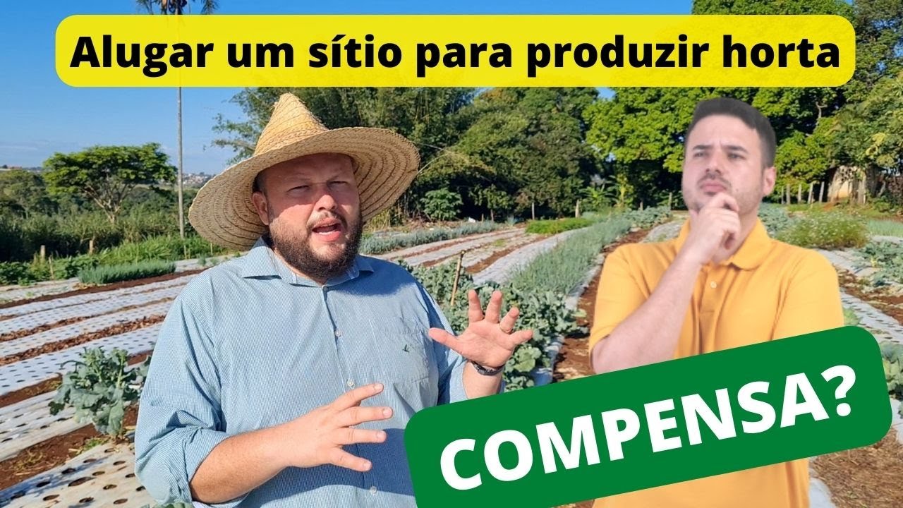 Quanto vale um aluguel de uma área para produzir hortaliças? Preciso ter terra para produzir ?
