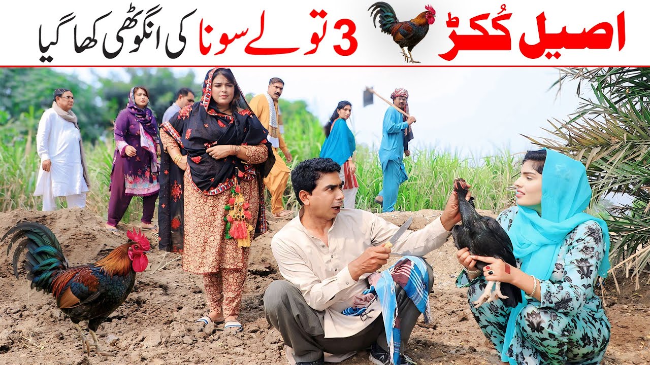 Gold Price | Ramzi,Noori, Bilo ,Bhootna,Shoki, Sanam, Falak Sher,Funny Video  Rachnavi Tv