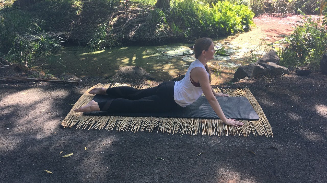 Upside-Down Pilates Wellness Challenge Day 3 Level II