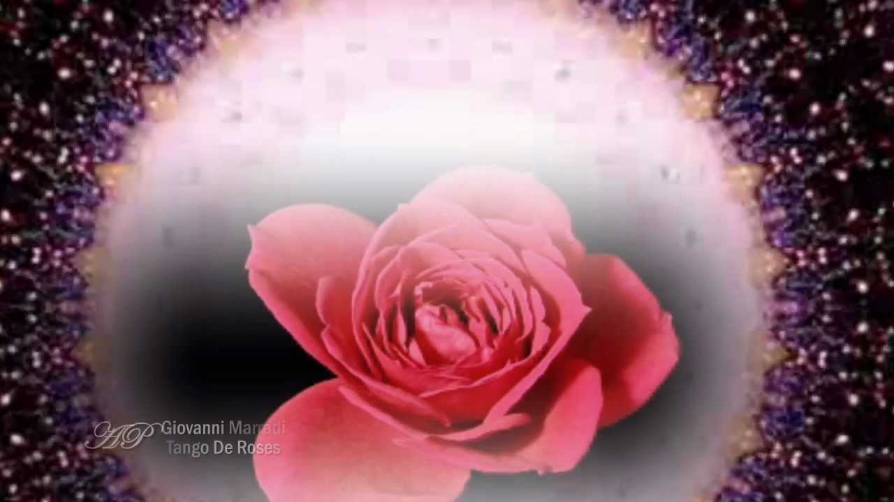 GIOVANNI MARRADI - Tango De Roses