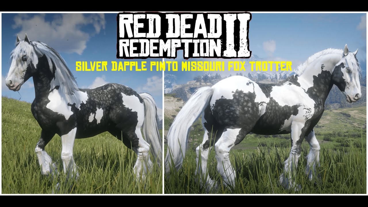 RED DEAD REDEMPTİON 2 - SİLVER DAPPLE PINTO MİSSOURİ FOX TROTTER ERKENDEN NASIL ALINIR