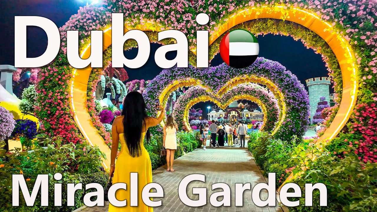 Night Miracle Garden Magical Dubai Walk 4K 🇦🇪