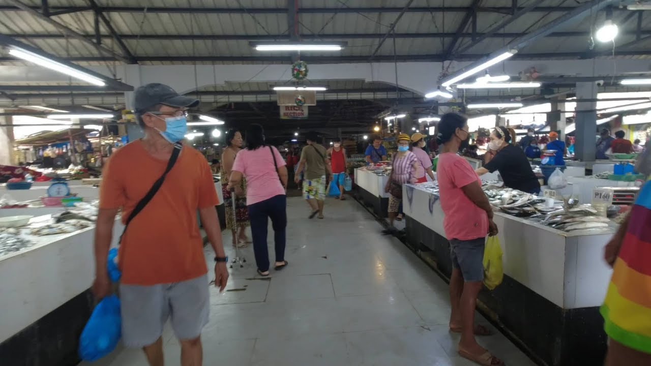 PALENKGE TOUR/IVISAN PUBLIC MARKET - CAPIZ WANDERER