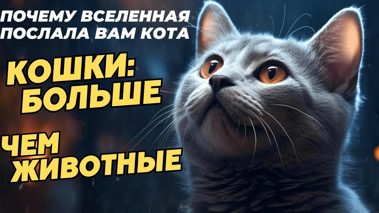 😺 Кошки – не просто животные: раскройте секрет их присутствия - закон притяжения