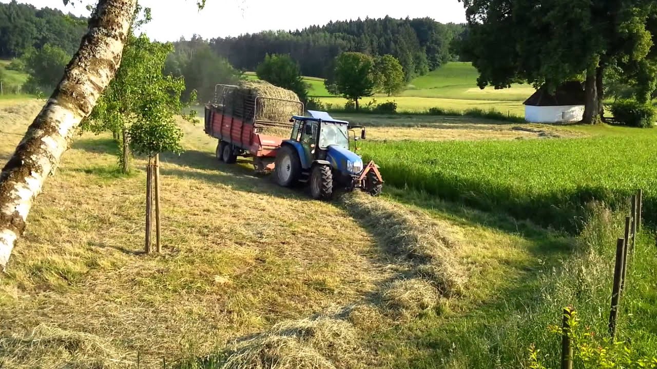 Sachen gibt's: Traktor mit Ladewagen sammelt Heu