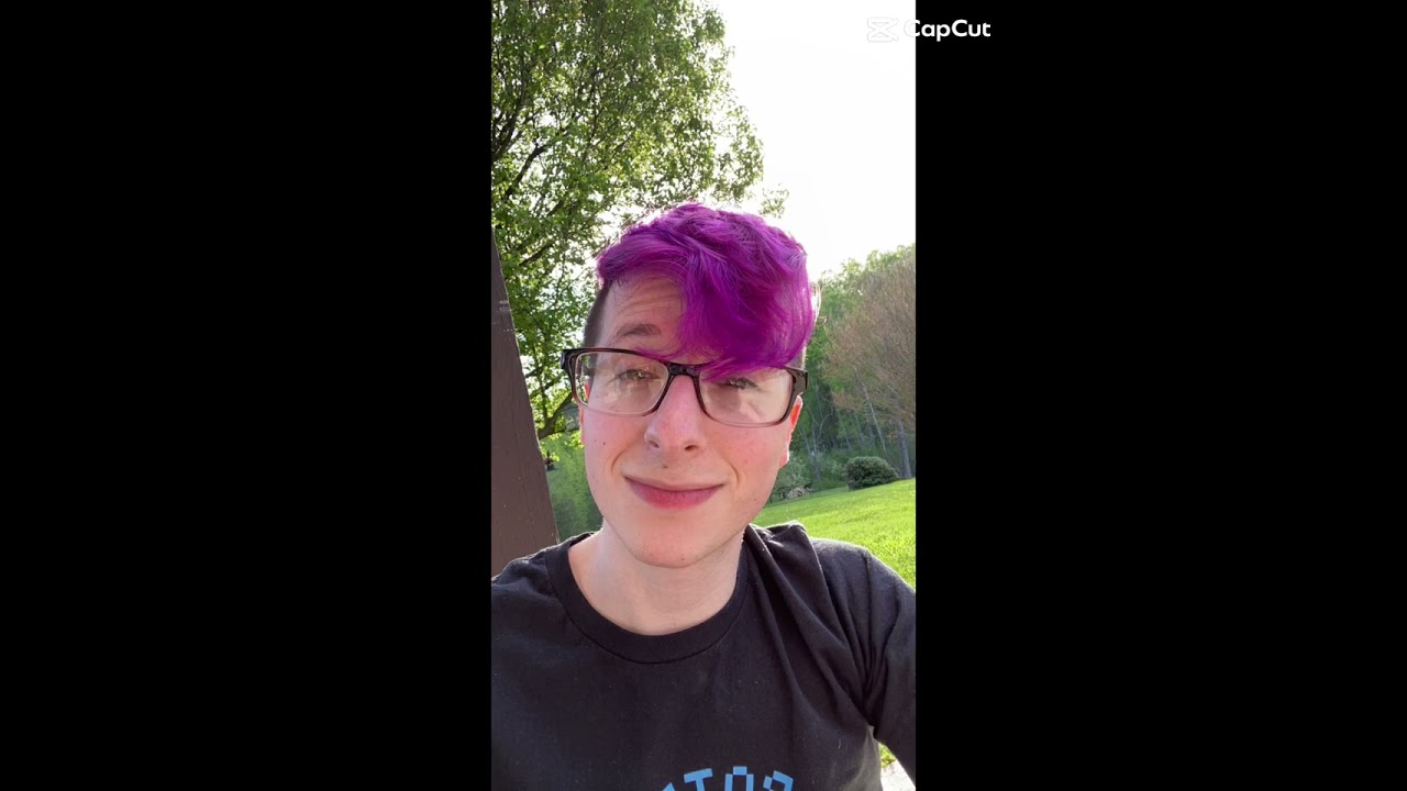 🤎 A N T F R O S T 🤎 #antfrost #dreamsmp