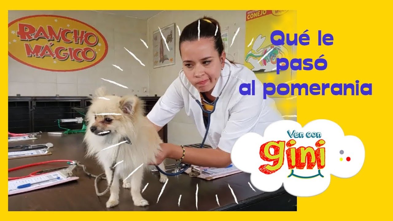 Coco visita al veterinario / Gini la veterinaria de Rancho Mágico / rancho mágico como llegar