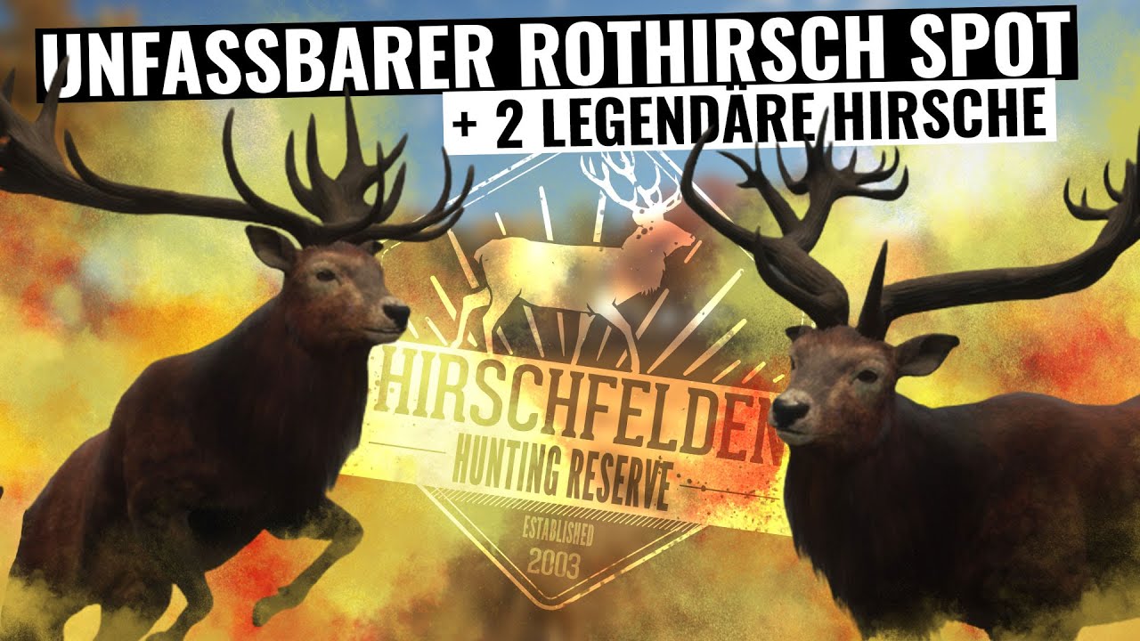 Unfassbarer Rothirsch Spot auf Hirschfelden + 2 legendäre Rothirsche! || theHunter Call of the Wild