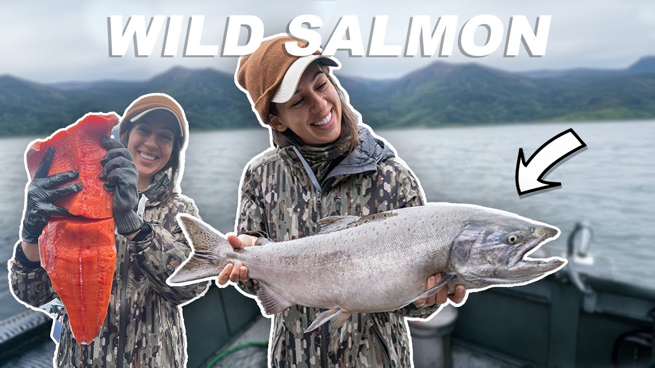 Catch Clean Cook * HUGE WILD SALMON *