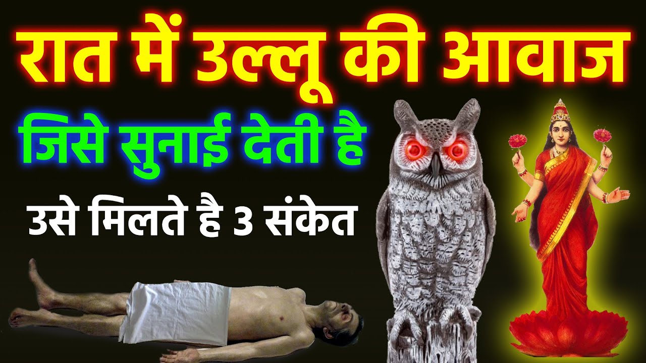 रात में उल्लू की आवाज जिसे सुनाई देती है उसे मिलते है 3 संकेत | Vastu tips Pashu pakshi