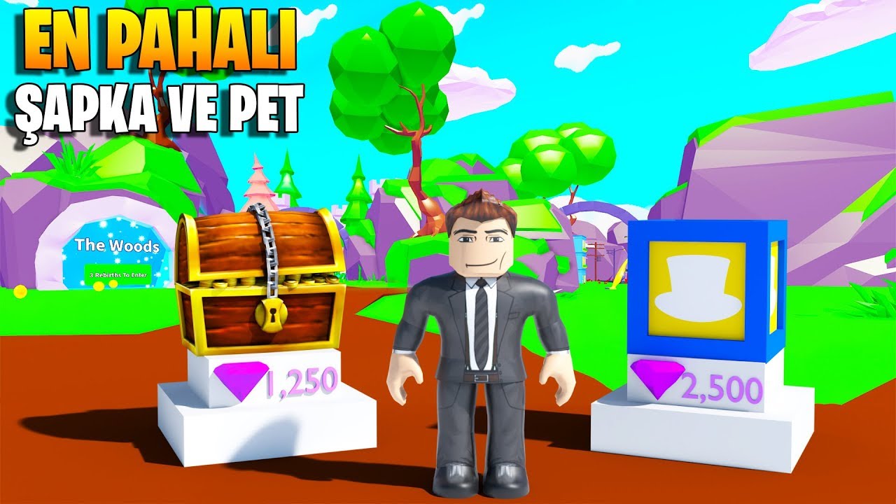 🐶 En Pahalı Peti ve Şapkayı Alıyoruz! Kryptomium! 🎩 | Vacuum Simulator | Roblox Türkçe