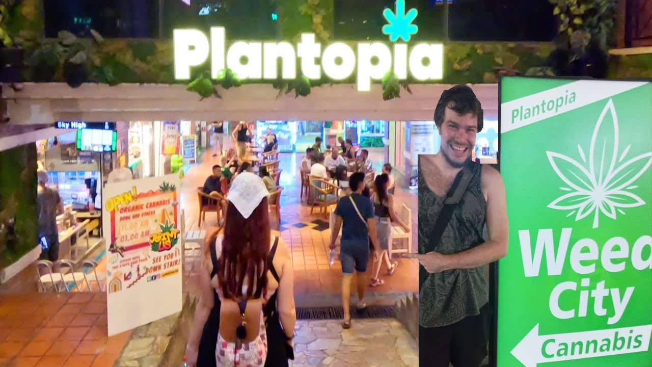 Incredible Cannabis Shopping Mall Plantopia | Best Weed in Bangkok Old Town! | Khao San Rd Nightlife