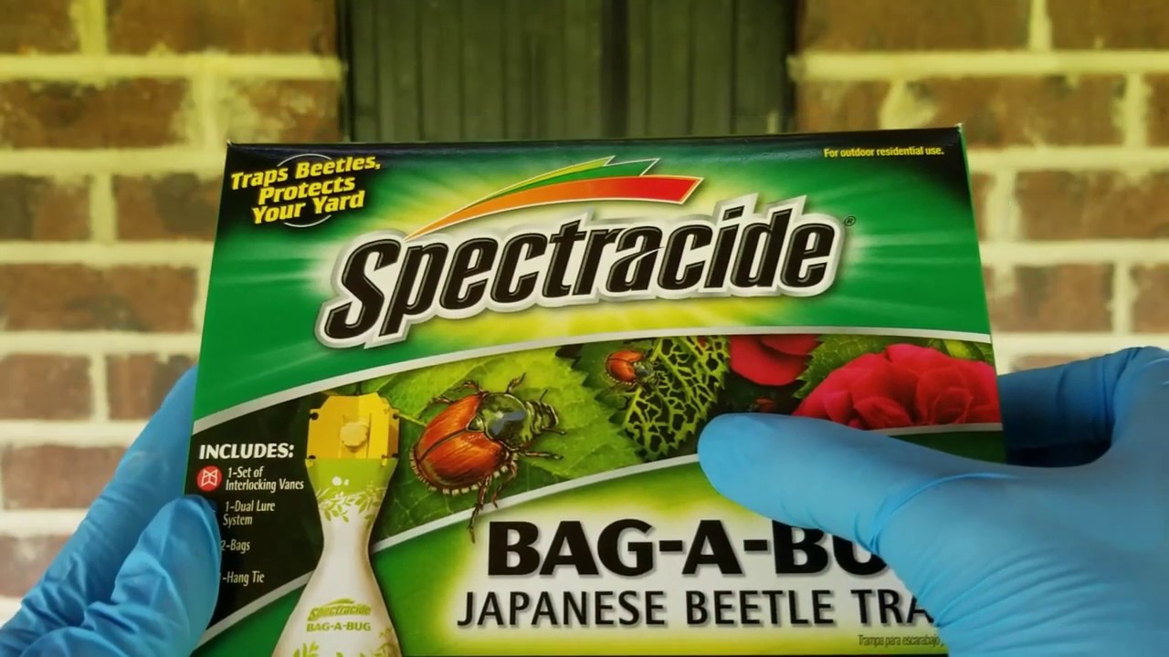 Spectracide Bag A Bug Japanese Beetle Trap | Part 1