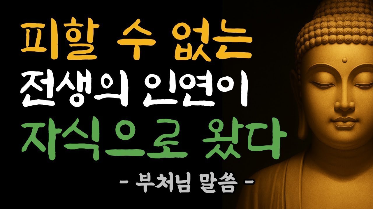 자식은 나의 업이 만든 결과입니다   전생 인연의 비밀   부처님 말씀   부처님 법문   삶의 지혜
