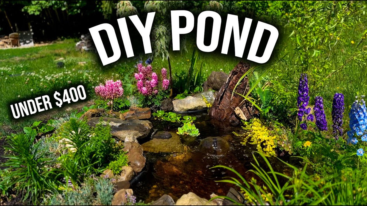 BUILDING A DIY BACKYARD GARDEN POND - UNDER $400