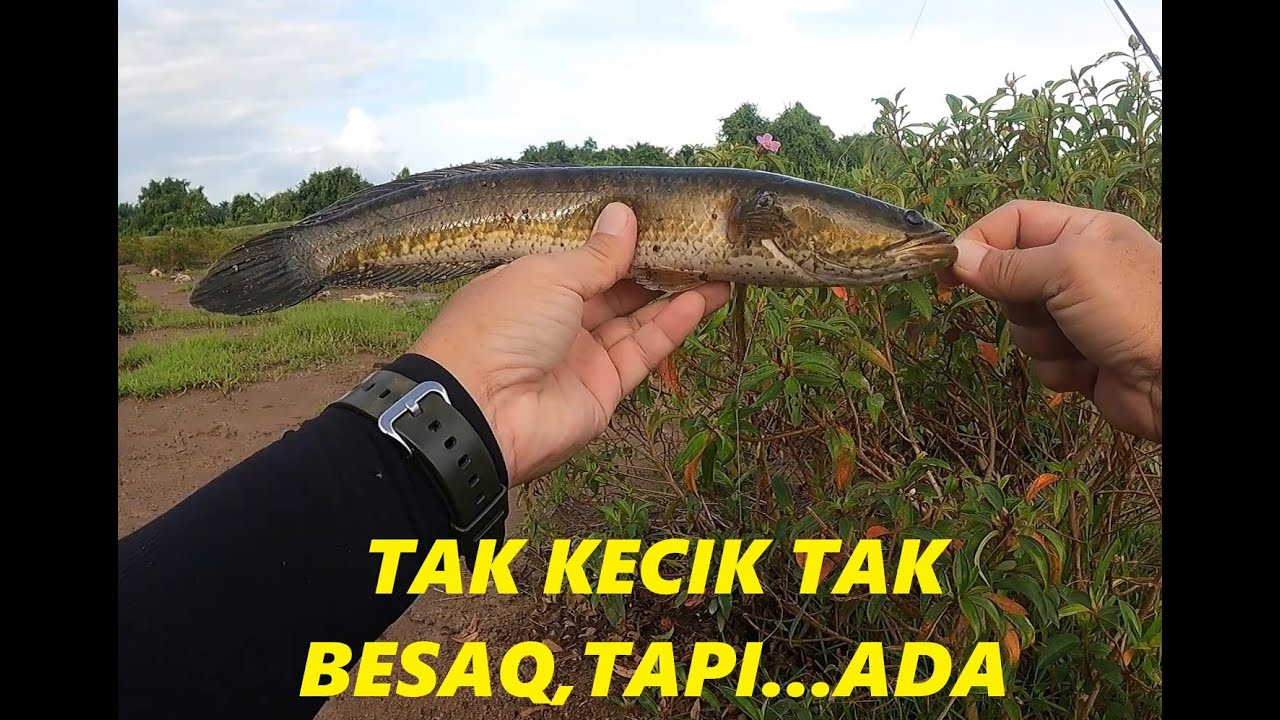 VLOG 14 HASIL MENDUGA PARIT AIR JERNIH / TEST RESULTS ON CLEAR WATER DITCH