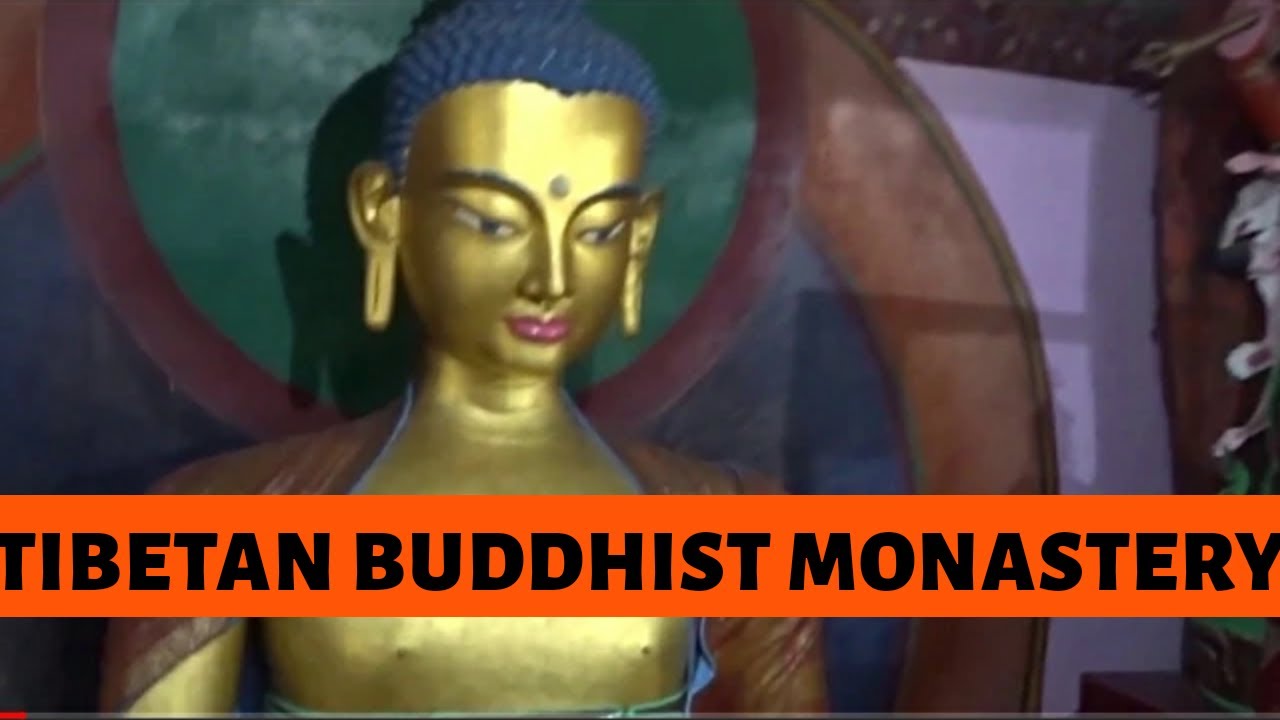 Tibetan Buddhist Monastery - Manali Tour Ep 02