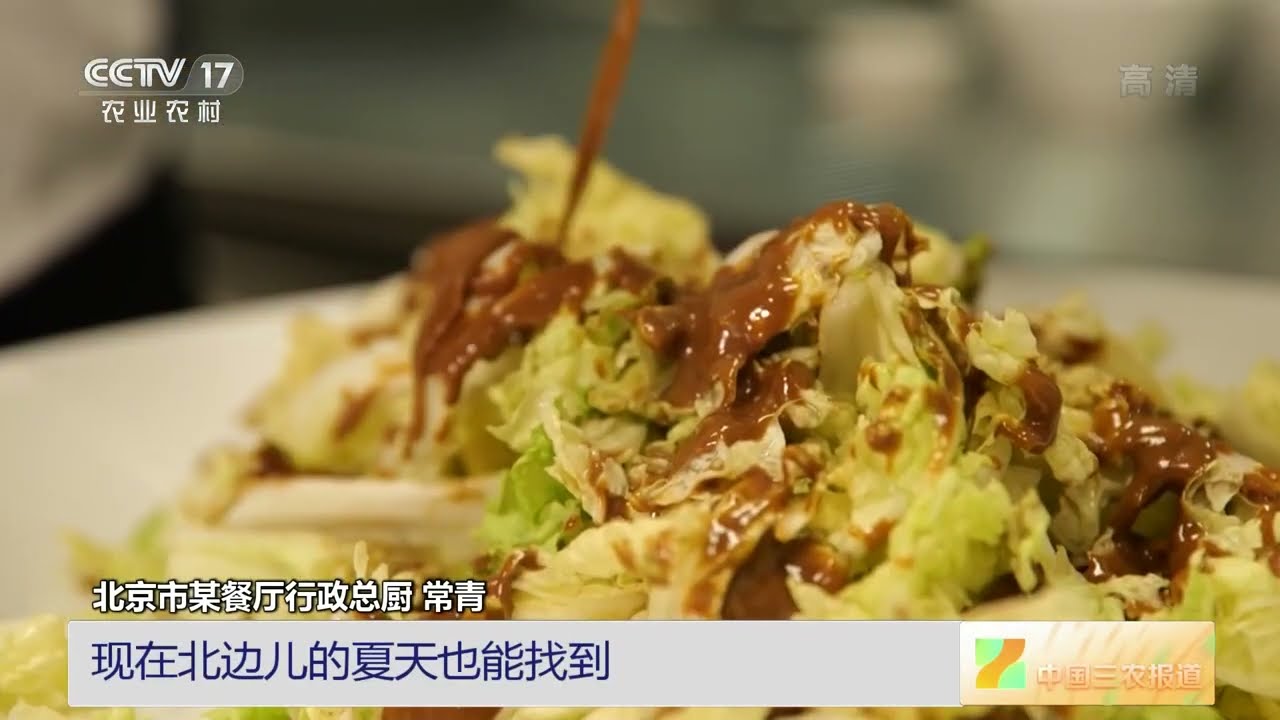 [中国三农报道]乡聚&middot;尝鲜季 盛夏时节也能吃到&ldquo;乾隆白菜&rdquo;|农业致富经 Agriculture And Farming