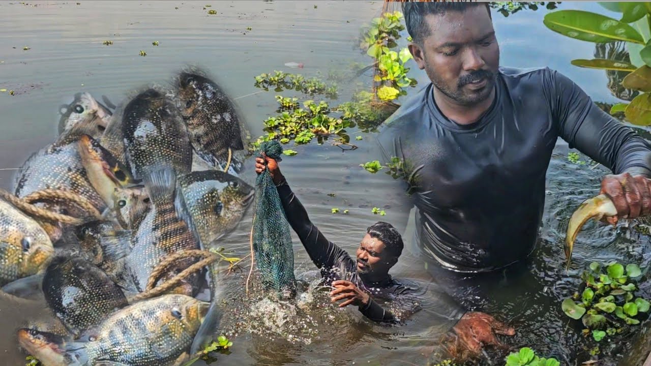 ഇനി വേനലിന്റെ സമയമാണ് |മീനുകൾ കാടുകളിൽ ഒളിച്ചിരിക്കുന്ന കാലം | അപ്പോൾ കാട്ടിൽ കേറി വേണ്ടേ പിടിക്കാൻ 