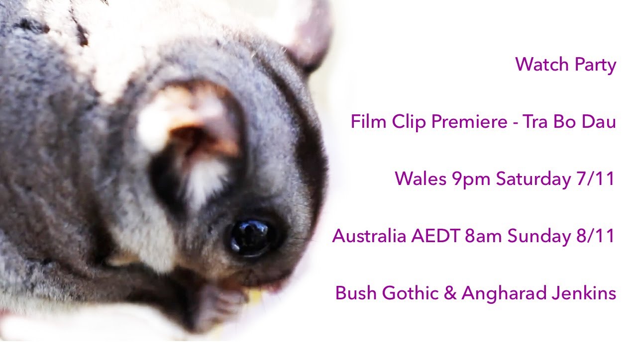 Watch Party - Tra Bo Dau Film Angharad Jenkins and Bush Gothic