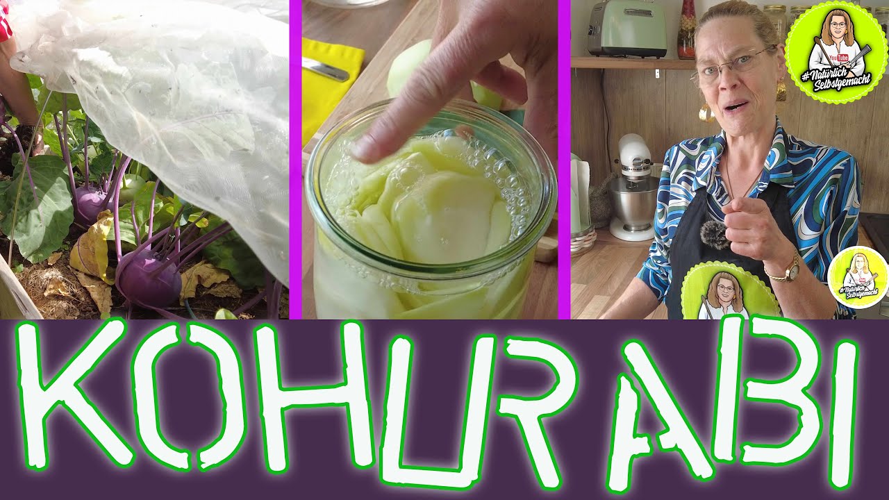 Fermentierter Kohlrabi - gesund und lecker - Schritt für Schritt