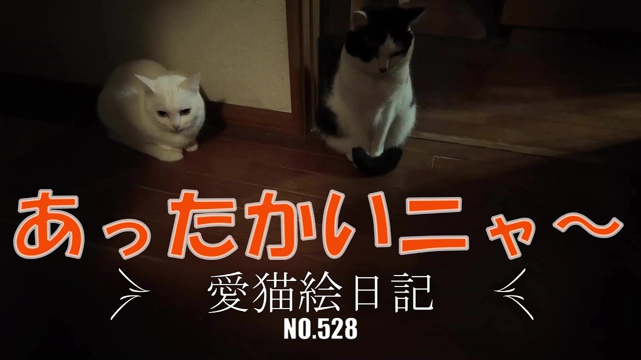 【愛猫絵日記-528】朝起きると・・・