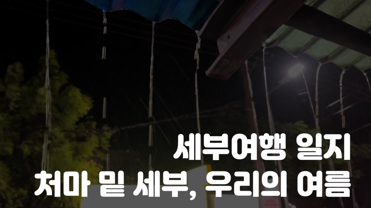 세부의 밤은 낯보다 아름답다[세부2]