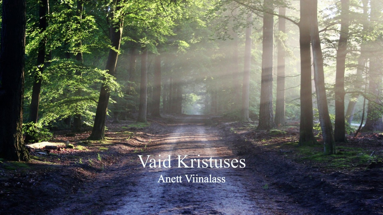 Vaid Kristuses - Anett Viinalass
