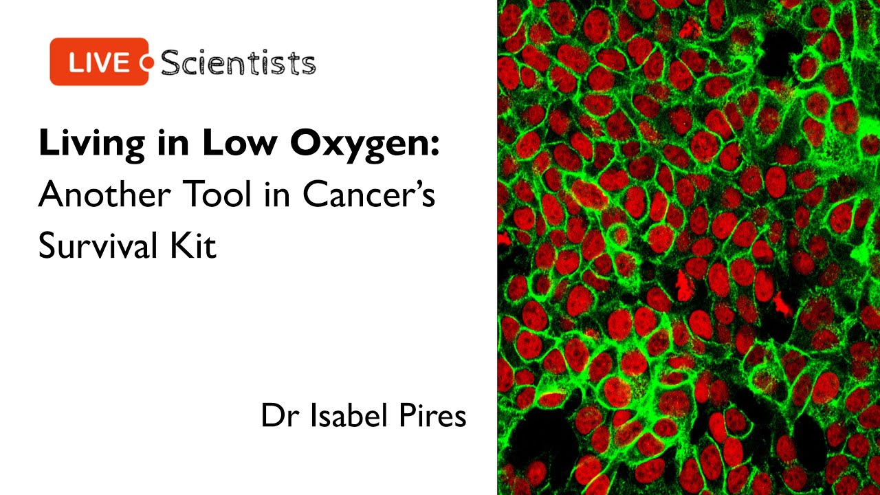Living in Low Oxygen: Another Tool in Cancer's Survival Kit | Dr Isabel Pires | 18 May 2021