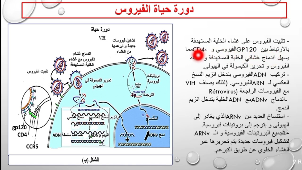 ملخص المناعة بكالوريا الجزء الرابع والاخير فيروس VIH