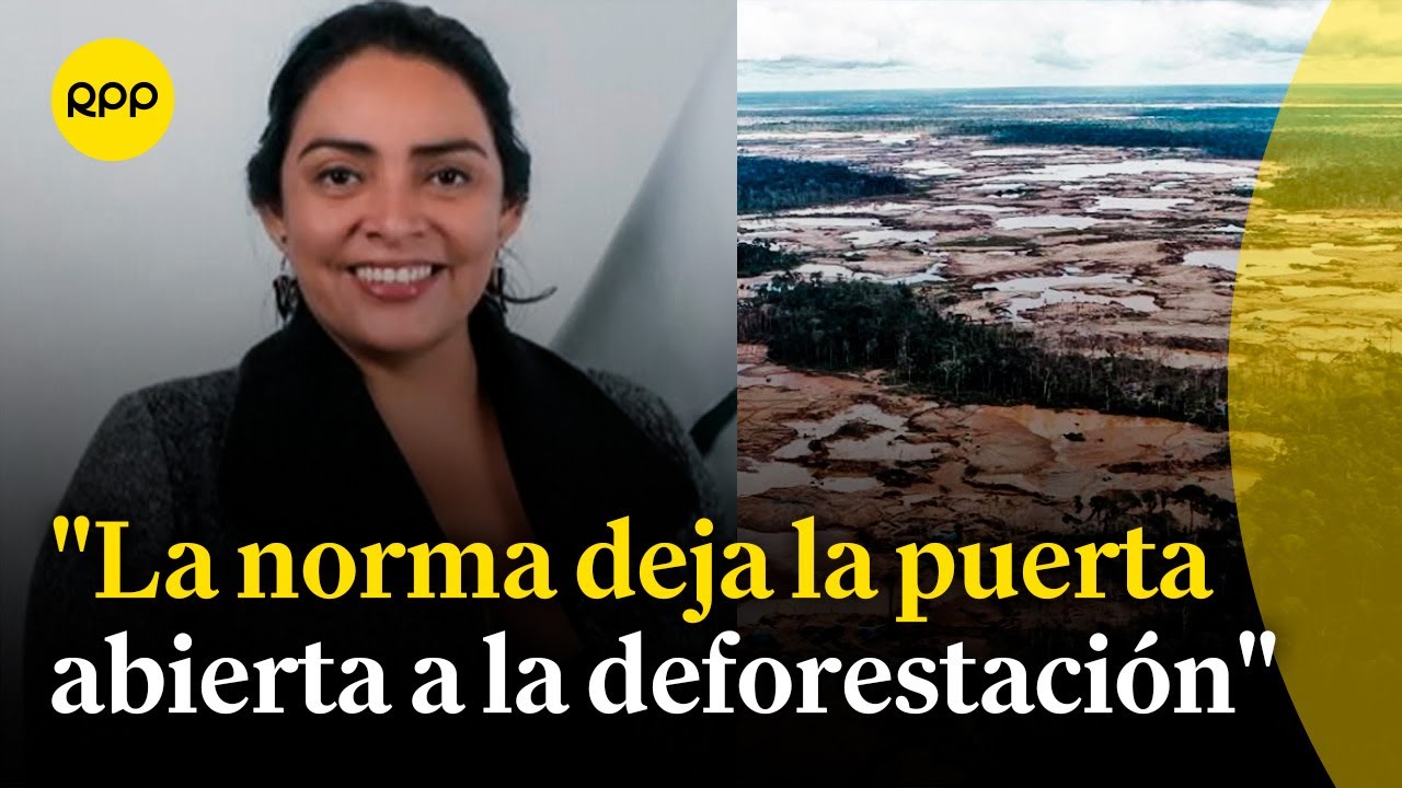 Ley Forestal es una puerta abierta para la deforestación y no protege a la Amazonía