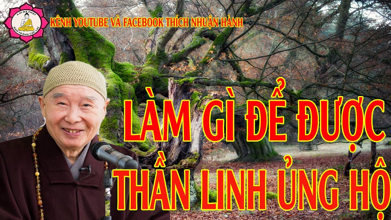 Làm Gì Để Được Thần Linh Ủng Hộ_Hòa Thượng Tịnh Không Giảng | Kênh Thích Nhuận Hóa