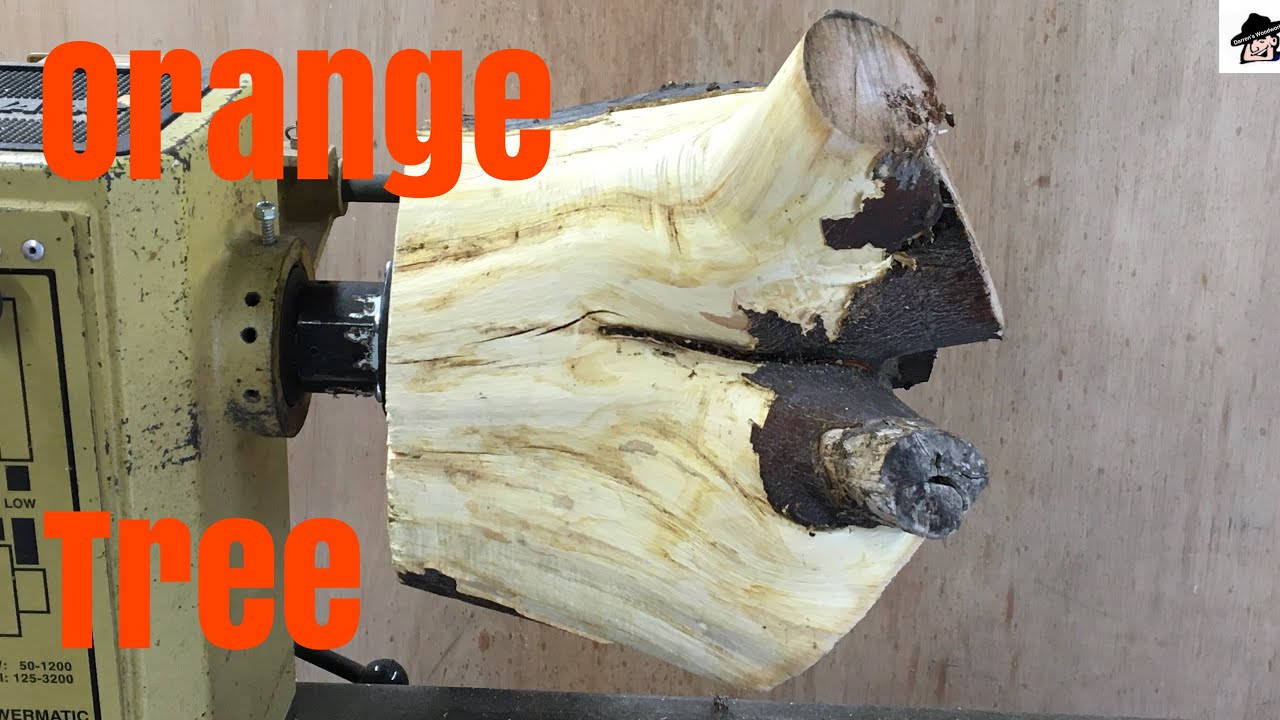Woodturning-Orange Tree Crotch Bowl