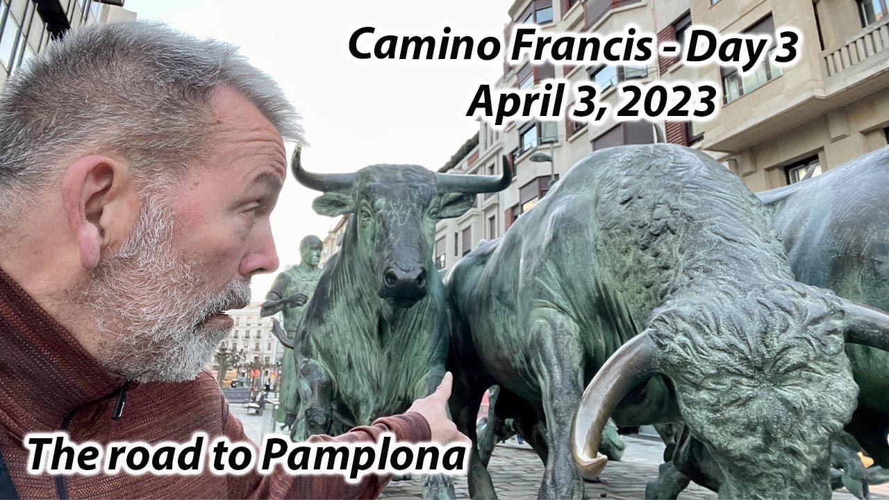 Camino Frances - Day 3 - Road to Pamplona