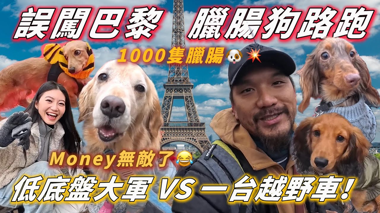 1000隻臘腸狗佔領巴黎🇫🇷Money被淹沒了😂【PET IN PARIS PART 8】