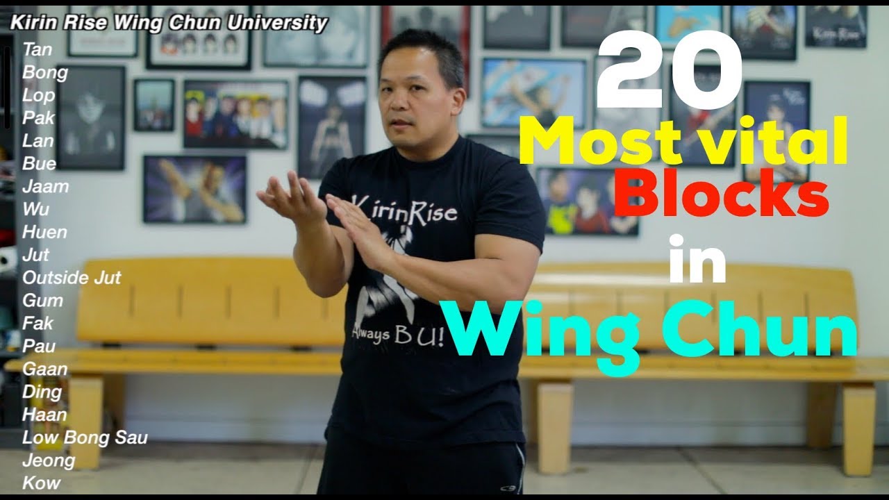 20 Most Vital Blocks in Wing Chun