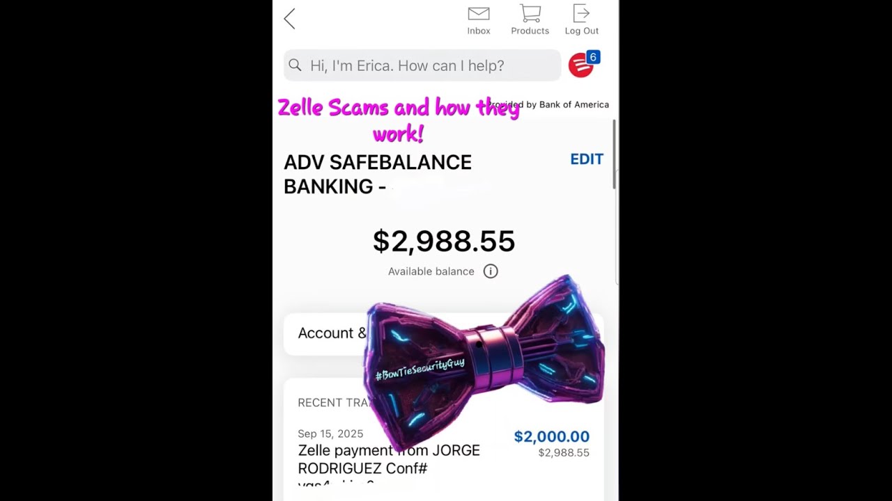 Zelle Scams, how do they work and what should you do if you get a random payment!